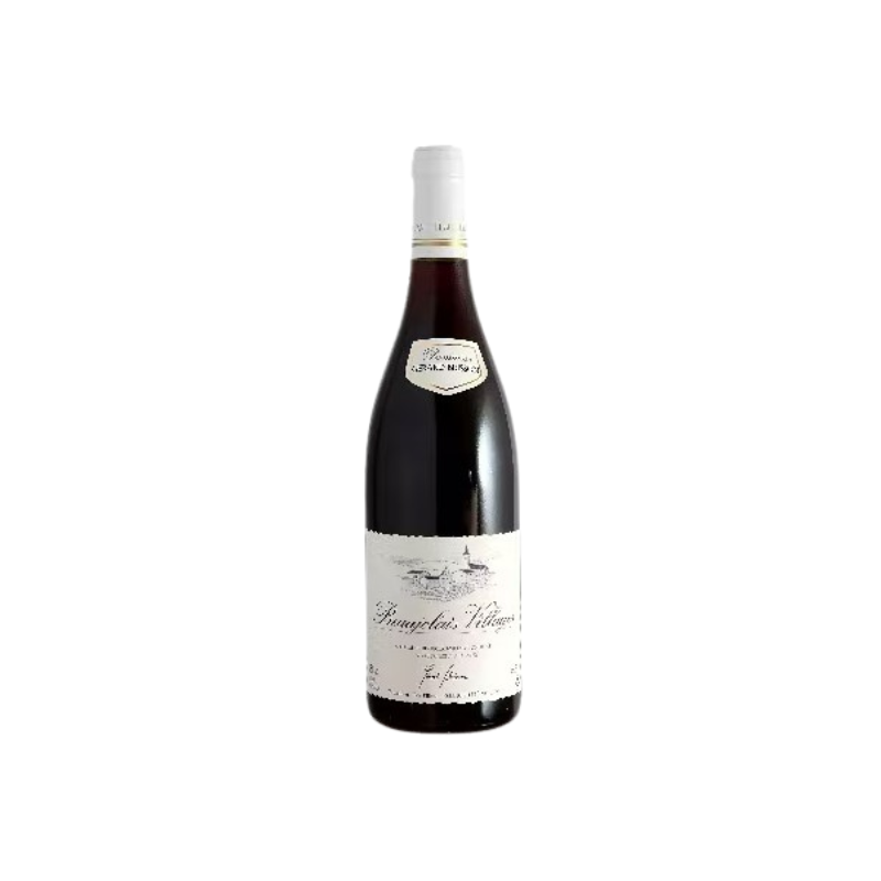 Beaujolais Villages 2021 - DOMAINE GERARD BRISSON - 75cl