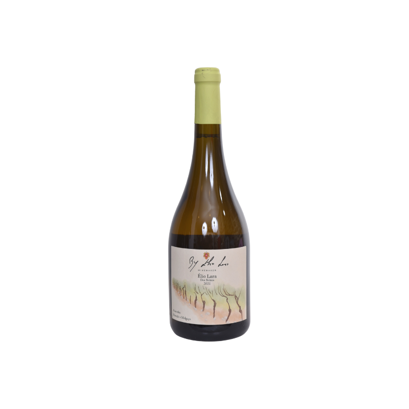 Vin Blanc Alvarinho 