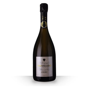 
                  
                    Cargar imagen en el visor de la galería, Champagne TROUILLARD Blanc de Noirs Extra Brut - 75cl
                  
                