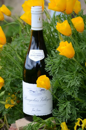 
                  
                    Charger l&amp;#39;image dans la galerie, Beaujolais Villages 2021 - DOMAINE GERARD BRISSON - 75cl
                  
                