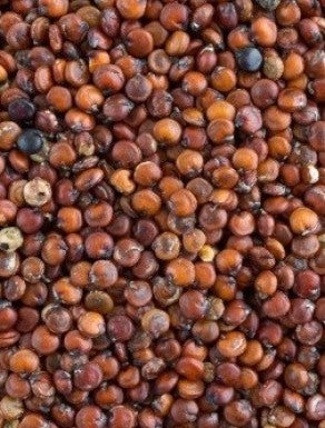 Graines de Quinoa Rouge - Poids au Choix